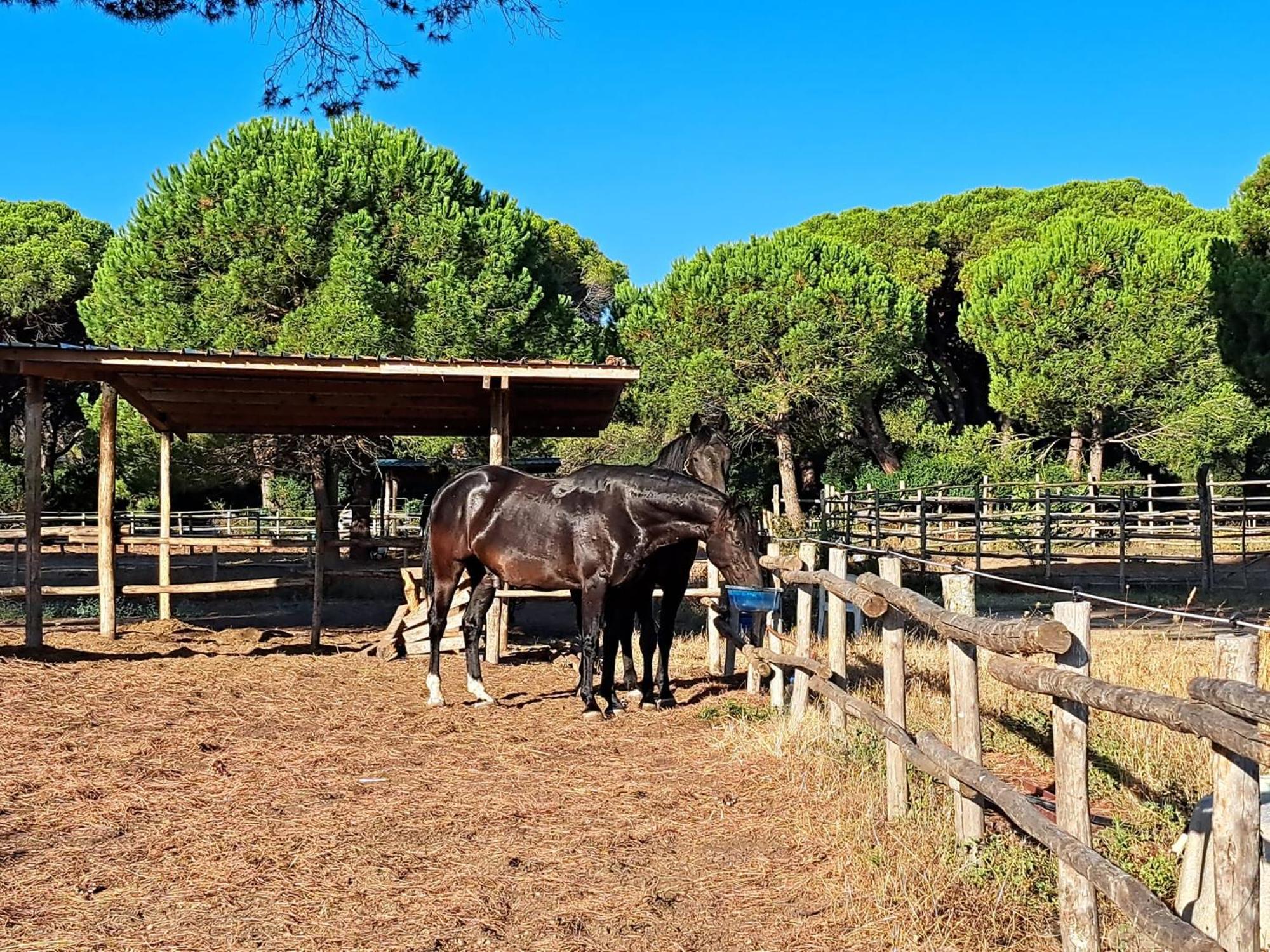 Mareblu - Tuscany Aparthotel 3*